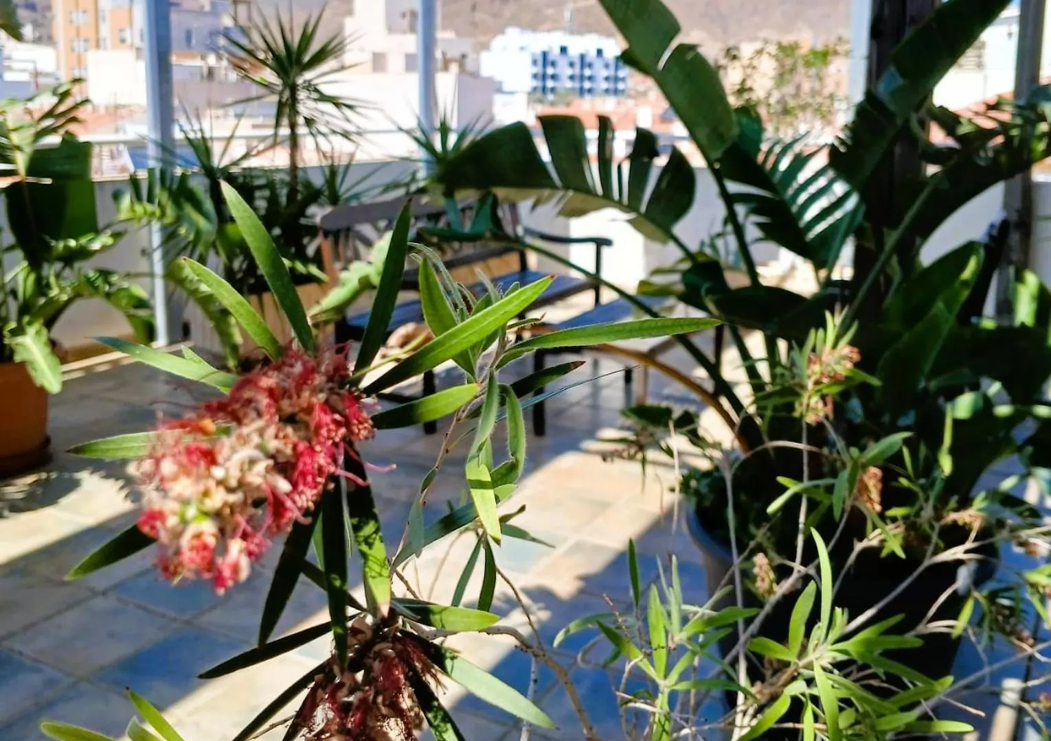 אגוואדולסה Hotel Mirablau